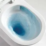 RIMLESS TOILET
